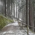 Stubnerhof Bad Gastein