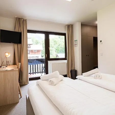 Отель Stubnerhof 3*