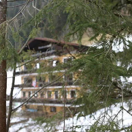 Отель Stubnerhof Бадгаштейн