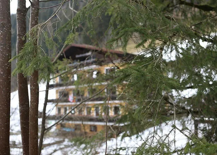 酒店 Stubnerhof 巴德加斯坦